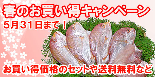春のお買い得キャンペーン