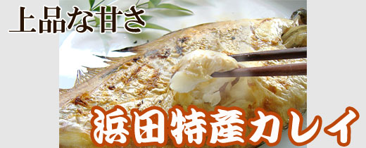 カレイ干物
