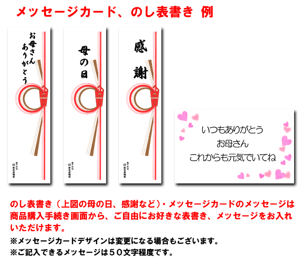 母の日限定 送料無料特別セット 干物造り８０年 伝統の技で仕上げた一夜干し 干物海産物通販かすみ屋